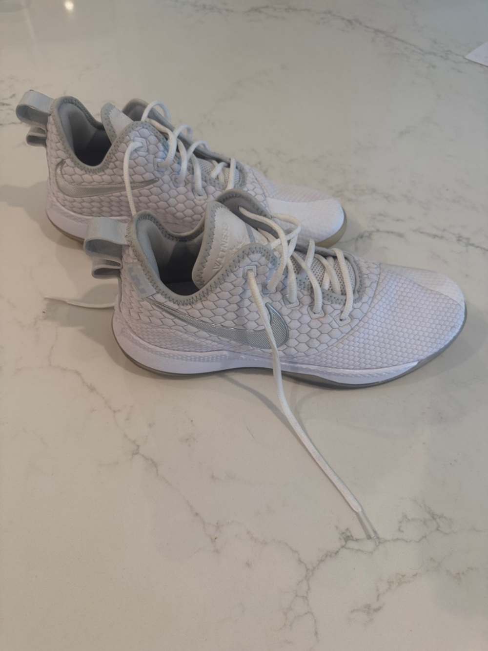 LeBron Nike Air Shoes